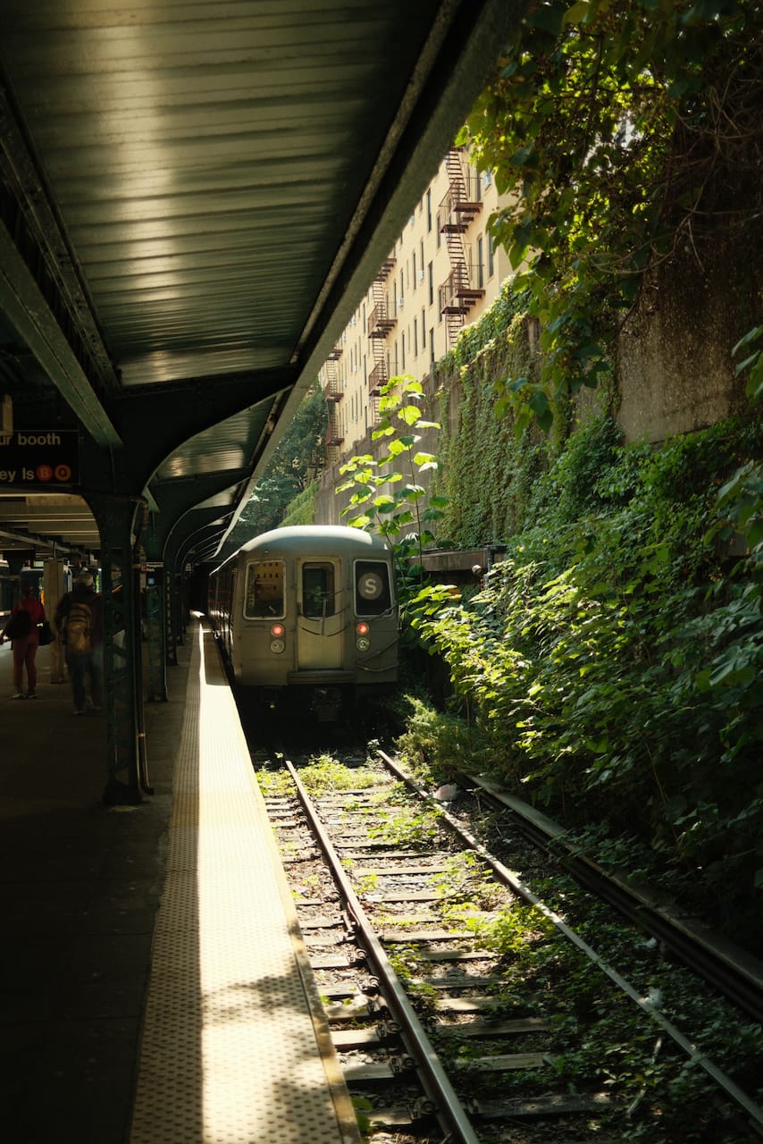 Photograph taken 2026·09·10