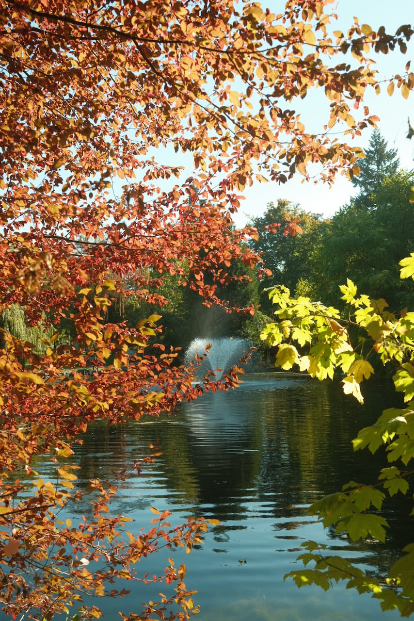 Photograph taken 2026·09·20